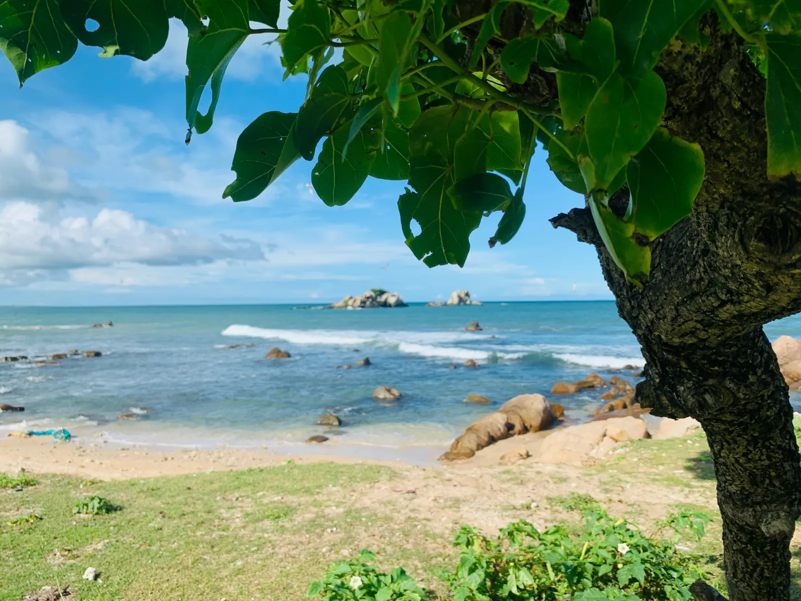 A rocky cove on the Trincomalee coast, with clear blue water and a leafy tree in the foreground