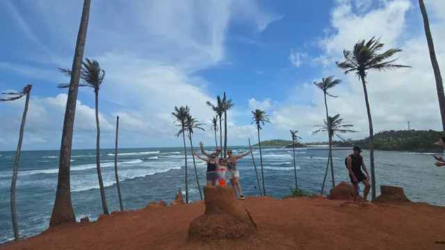 Palm trees leaning over a red-earth headland above the open ocean on the south coast